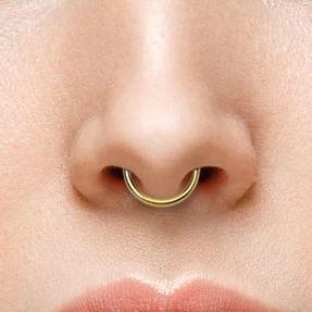 D Shaped Gold Ion Plated Steel Septum Ring